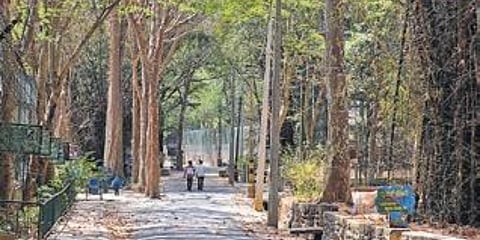 Bengaluru Bannerghatta Biological Park. ( File Photo)