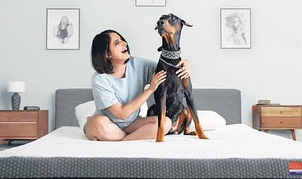 Here comes the vegan bed!