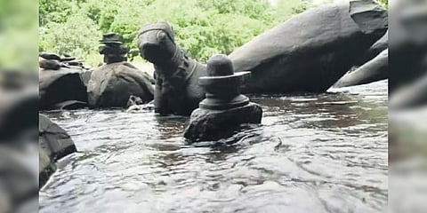 The idols in the Shalmala river at Sahasralinga in Uttara Kannada district | Express