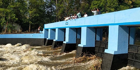 Farmers and officials welcome Cauvery river water at Vikraman regulator at Thiruvalangadu in Mayiladuthurai district. (Photo| EPS)