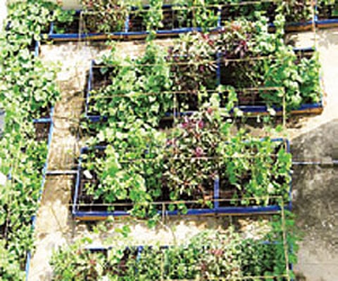 Image for representational purposes. (File Image | EPS)