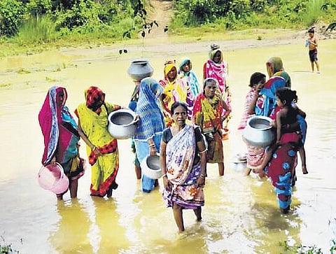 A group of women collecting water from Badanadi in Jagannathprasad block | Express