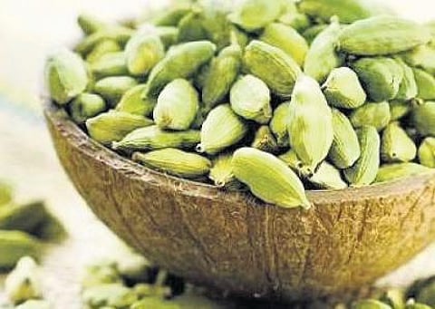 Cardamom growers in distress as price plummets