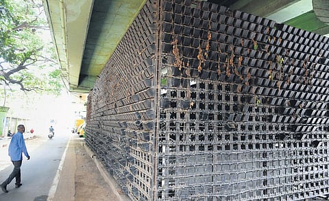 A decrepit vertical garden under Royapettah flyover | R Satish Babu
