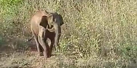 Image used for representational purpose only. (Photo | EPS)