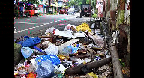 The dirty picture: Kochi's waste management stinks