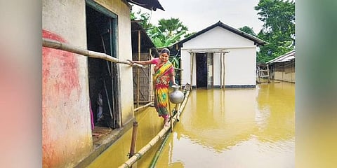 A woman uses temporary bambooo bridge at flood-hit Nagaon in Assam | PTI