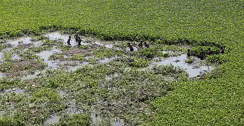 Image for representational purpose only. ( File | EPS)