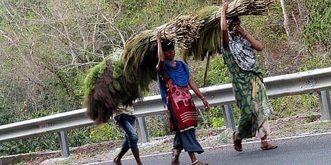 Image used for representation (Photo | PTI)