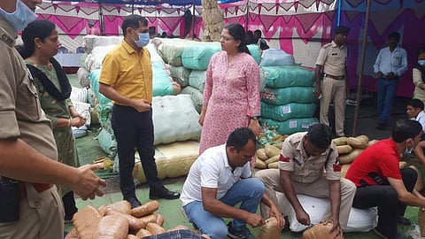 Seized Ganja segregated by police at Biomass power generation plant. (Photo | Special Arrangement)