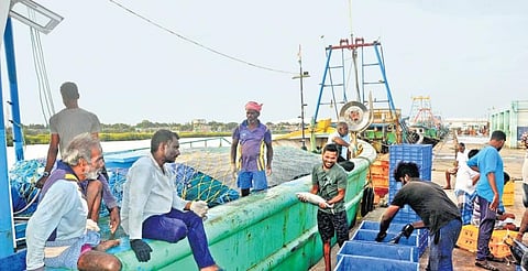 Annual fishing ban hasn't helped us to net a good catch, rue Nagai boat owners. (Photo | Express)