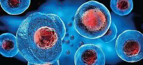 Image used for representational purpose only. (File Photo)