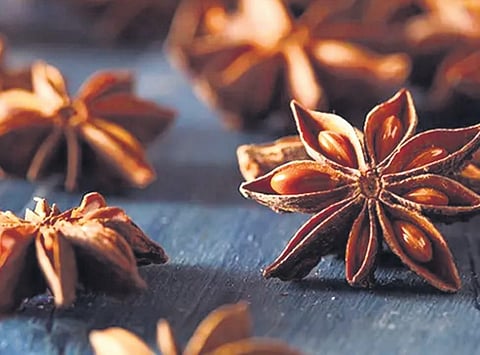 A secret weapon sitting in your spice cabinet