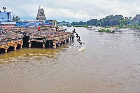 Boys dive into the overflowing Thamirabarani river near the submerged Kurukkuthurai Murugan Temple in Tirunelveli. (Photo| V Karthikalagu, EPS)