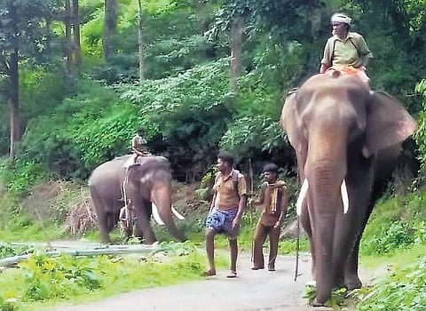 Representative Image.