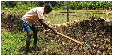 Baba Annayya Siddi working at his backyard in his village (Photo |Express)