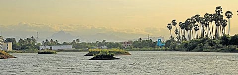 Veinthakulam tank after restoration. (Photo| EPS)