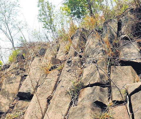 ‘Columnar basalt’ formations, which are naturally formed pillars of stone, were found on a small hillock inside the reserve forest area of Borilalguda village