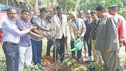 A tree plantation drive at Cubbon Park jointly organised by Horticulture Department and Cubbon Park Walkers’ Association | Express