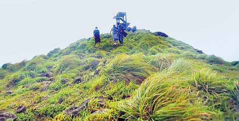 Image used for representational purposes only