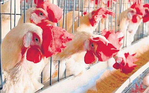 Image for representational purpose only.