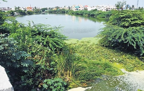 Sewage mixed with water entering the Putheri lake in Pallavaram through a culvert | Ashwin Prasath