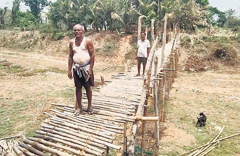 Villagers crossing the bamboo bridge at Naugaon in Jagatsinghpur district | Express