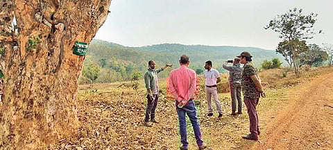 Members of the Central team with forest officials at Similipal Tiger Reserve.