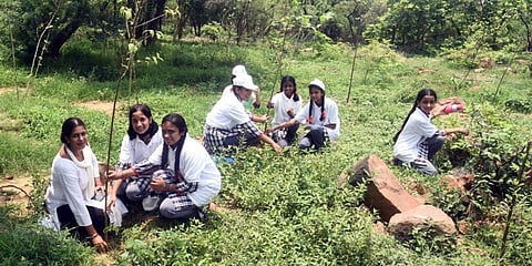 Students plant saplings on Van Mahotsav. (Photo | Parveen Negi)
