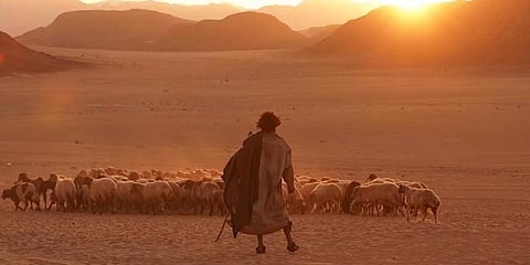 A still from Blessy's 'Aadujeevitham'.(Photo | Twitter)