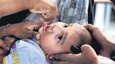 Image of an infant being vaccinated as part of the pulse polio immunisation drive used for representational purposes only