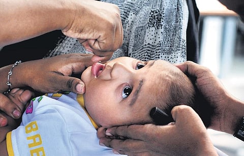 A tiny tot being administered vaccine as part of the pulse polio immunisation drive in Kochi. (File Photo | A Sanesh, EPS)