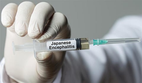 Japanese encephalitis (For representational purposes)