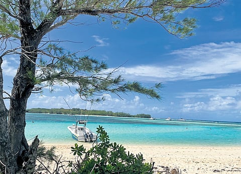 Photographs by Meenakshi.J,Flat Island