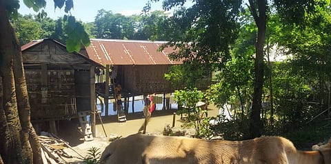 Around 1-1.5 lakh flood-affected people in Assam were living on embankments and roads. (Photo | Special Arrangement)
