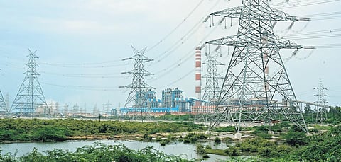 Ennore wetlands near the North Chennai power plant. (Photo| Shiba Prasad Sahu, EPS)