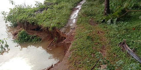 A section of the land in Koralayi island where the land has eroded. (Photo| EPS)