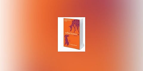 Ruffled Feathers by Sanjay Kumar