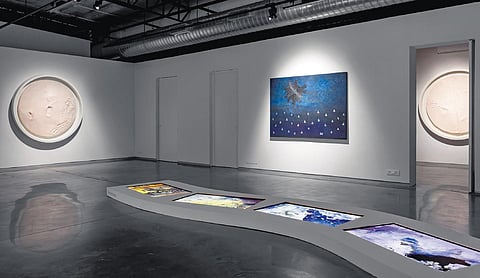 Exploring ecology through art