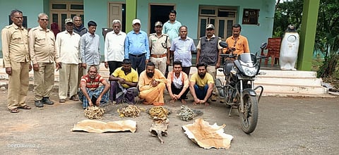 The forest sleuths arrested five persons in Ranebennur for black buck poaching(Photo | Express)