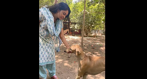 Shruti Vinod Raj, one is the animal rights activists, included in the newly reconstituted Tamil Nadu Animal Welfare Board.