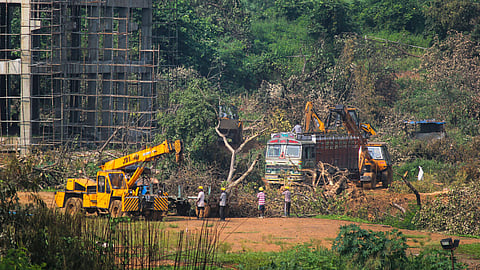 A crane lifts the the fallen trees to be carried away for building a construction site of metro car parking shed at Aarey Colony Mumbai Monday Oct. 7 2019