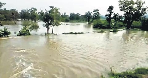 Glimpse of the canal breach near MPV-75 village, submerged agricultural land | Express