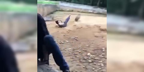 A wild hog charged at one of them, chased and knocked him down.