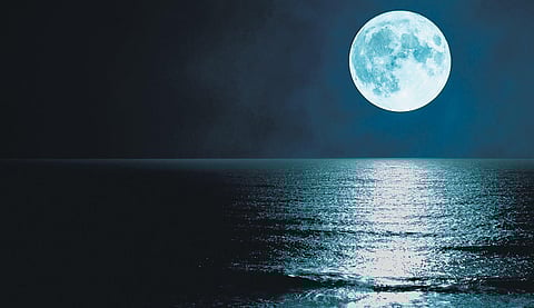 Image for representational purpose only. (File Photo)