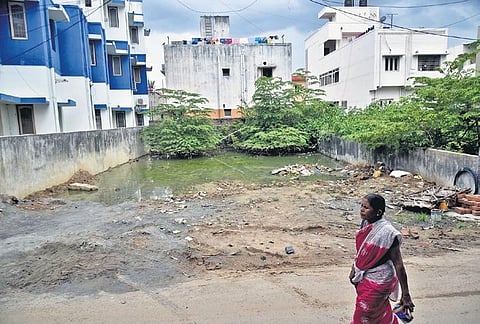 Stagnant water in an empty plot in Sri Ayyappa Nagar. (Photo| P Jawahar, EPS)