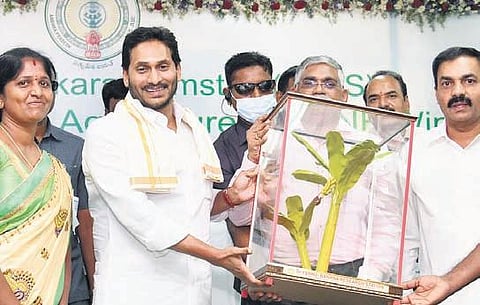 Andhra Pradesh CM YS Jagan Mohan Reddy lays stone for Biosciences Unit at IG Global Academy for Agro-Ecology Research and Learning in Kadapa. (Photo| EPS)