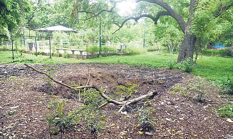 Gandhi Park in East Tambaram (Photo| Martin Louis, EPS)