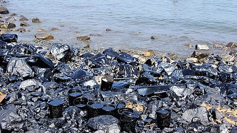 Effects of the oil spill on Chennai's shores. (Photo | EPS)