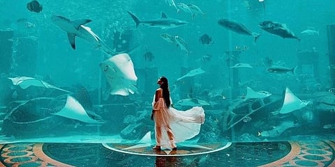 Atlantis, The Palm, Dubai.